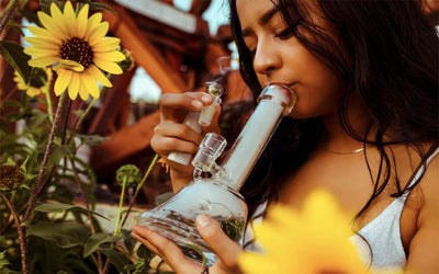 What are the best glass bongs?