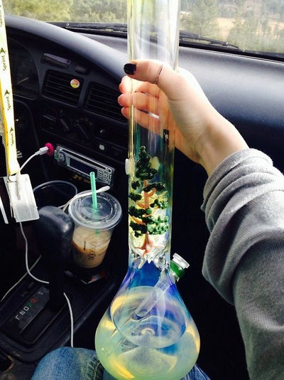 The role those glass blowing experts in Eaglebongs ascribe to evolution is not of dictating the details of stoners’ behavior